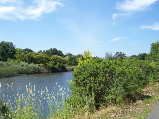 River bend, Napa California