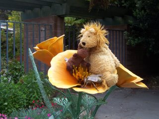 Lion-san at the Botanical Gardens, Golden Gate Park