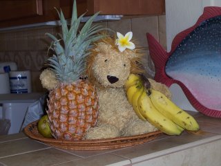 Lion-san and fruit friends