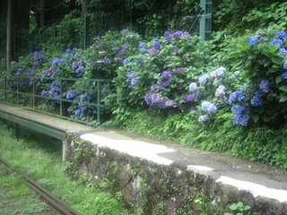 Hakone Tozan Railway Kanagawa Japan