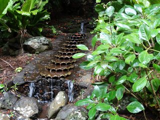 Robert's Falls, Allerton Gardens