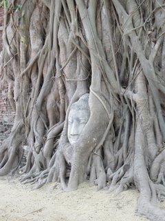 Wat Mahathat Ayutthaya Thailand